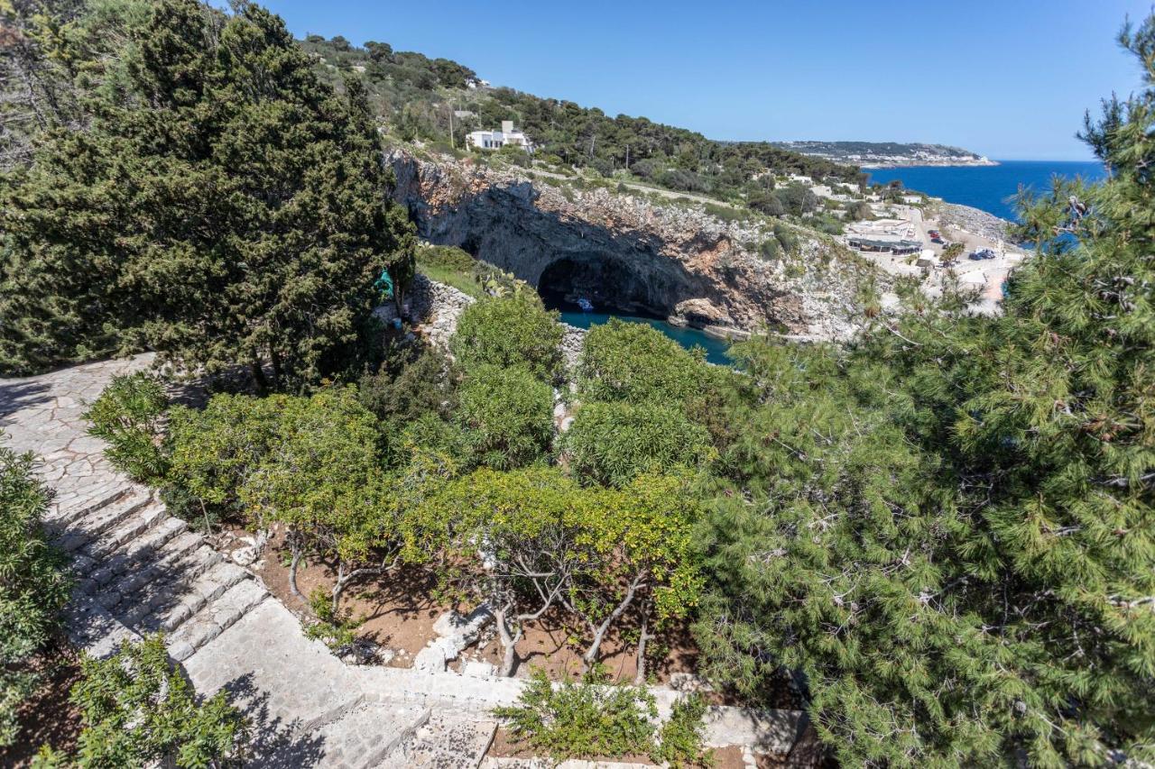 Il Posto Delle Fragole Bed & Breakfast Castro  Dış mekan fotoğraf